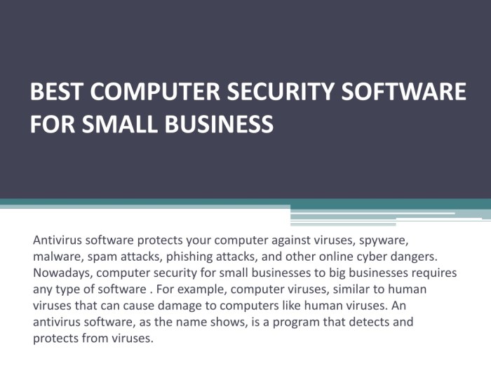 Cybersecurity software for small companies