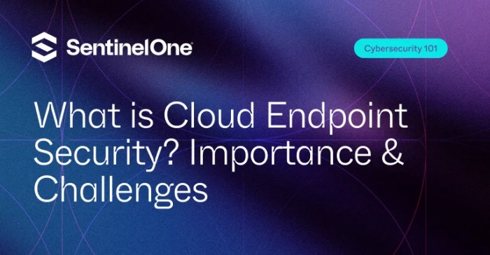 Cloud based endpoint security solution