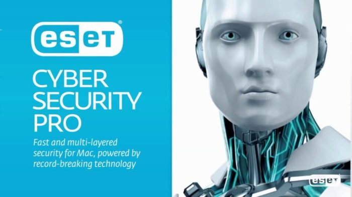 Best paid antivirus subscription 2026